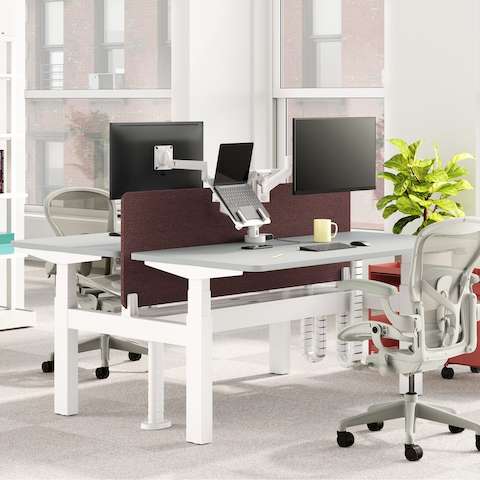 Nevi Link Sit-Stand two-desk configuration in white with a maroon-coloured fabric screen, Lima Monitor Arm and Laptop Mount, two Aeron Chairs and OE1 storage trolleys.