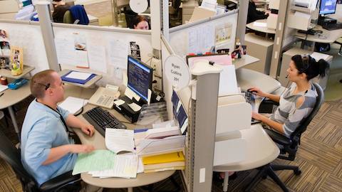 Employees sit within their respective cubicles while working at a call center. 
